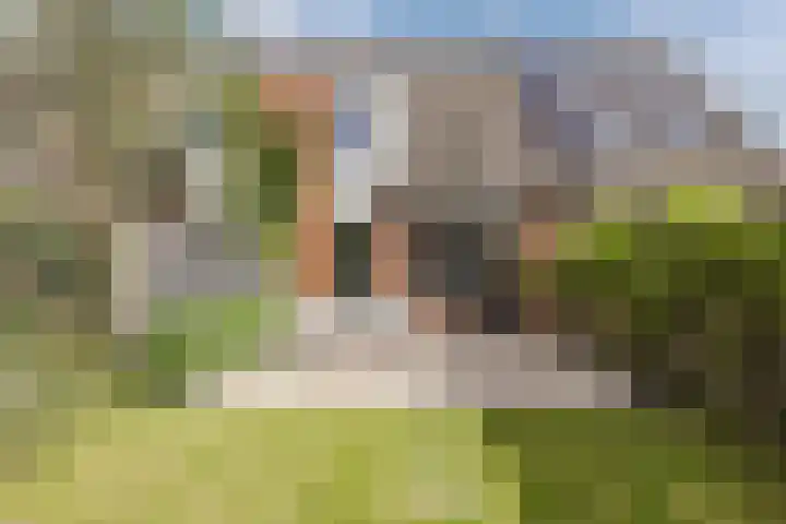 Riklanden 3 Assen thumbnail 37