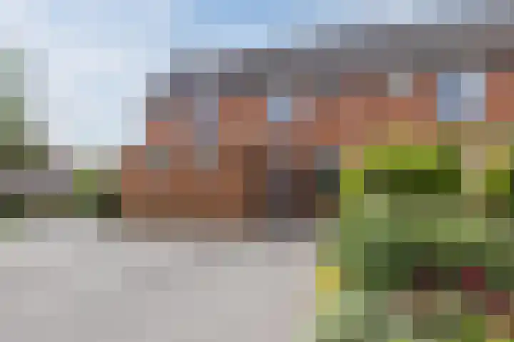 Riklanden 3 Assen thumbnail 4