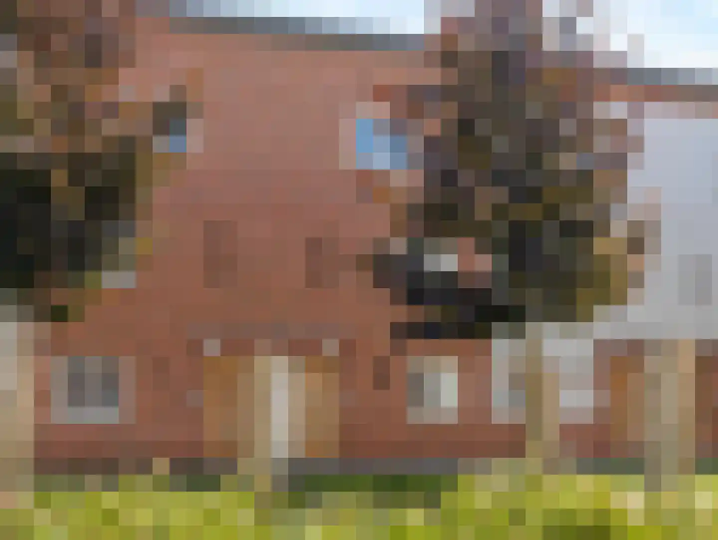 Rilland Bathstraat 36 in Rotterdam