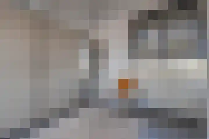 Rilland Bathstraat 48 Rotterdam thumbnail 29