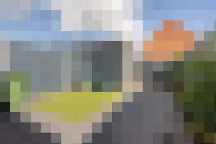 Rilland Bathstraat 48 Rotterdam thumbnail 33