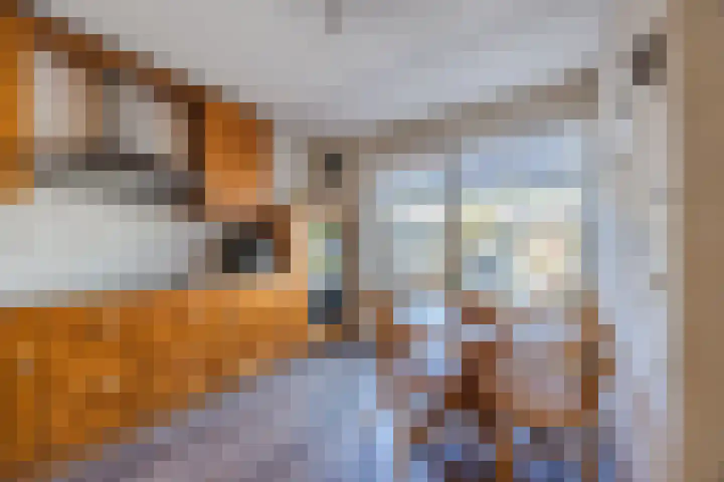 Rillandstraat 7 Tilburg thumbnail 13