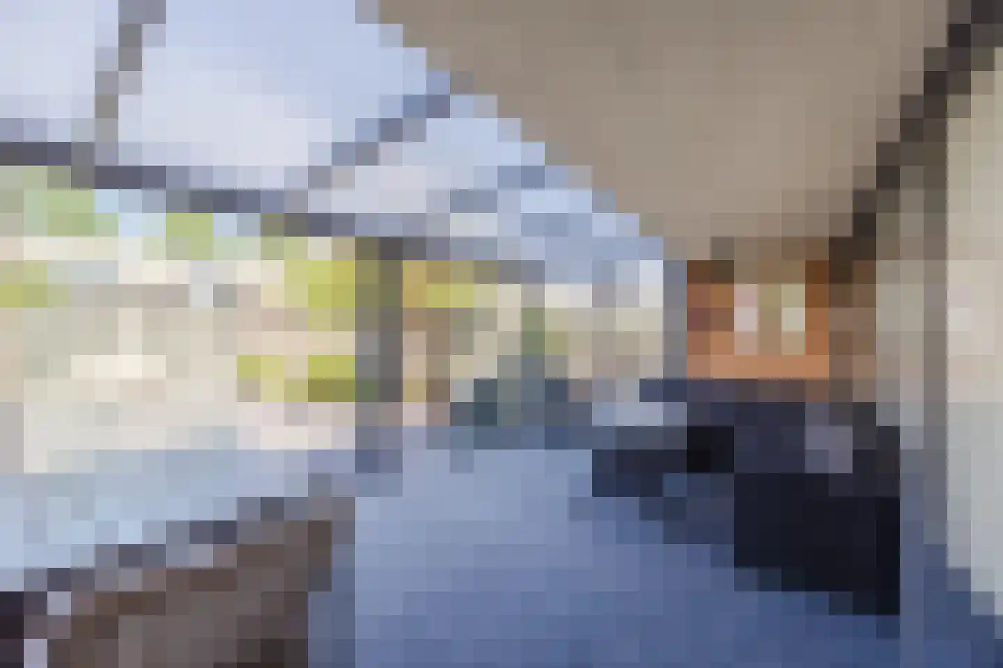 Rillandstraat 7 Tilburg thumbnail 20