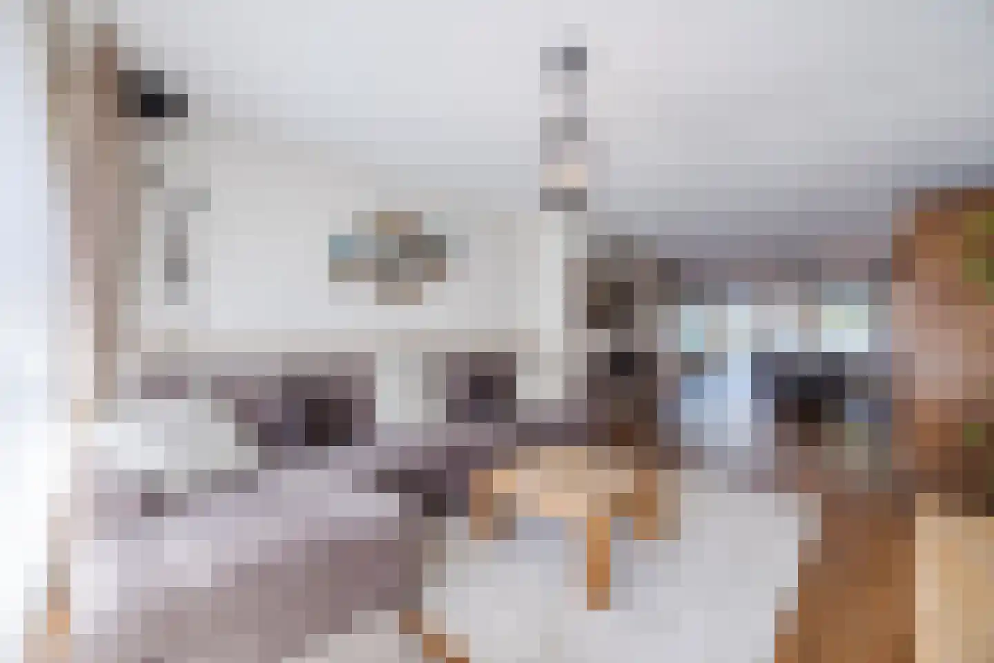 Rillandstraat 7 Tilburg thumbnail 5