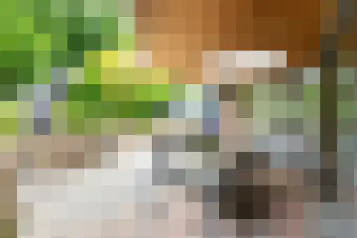 Rimburgerweg 287 Landgraaf thumbnail 23