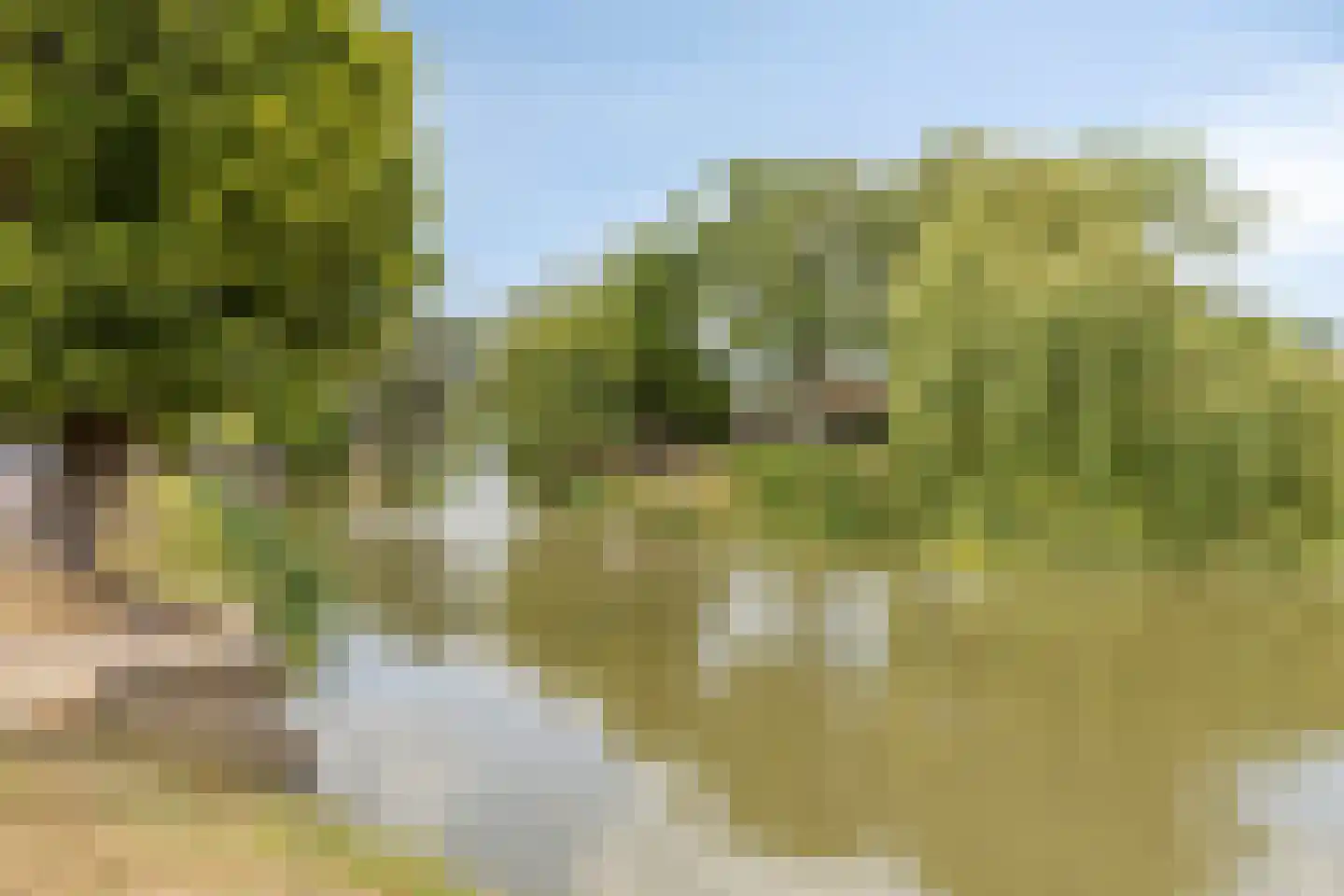 Rimmelandstraat 11 Goes thumbnail 23