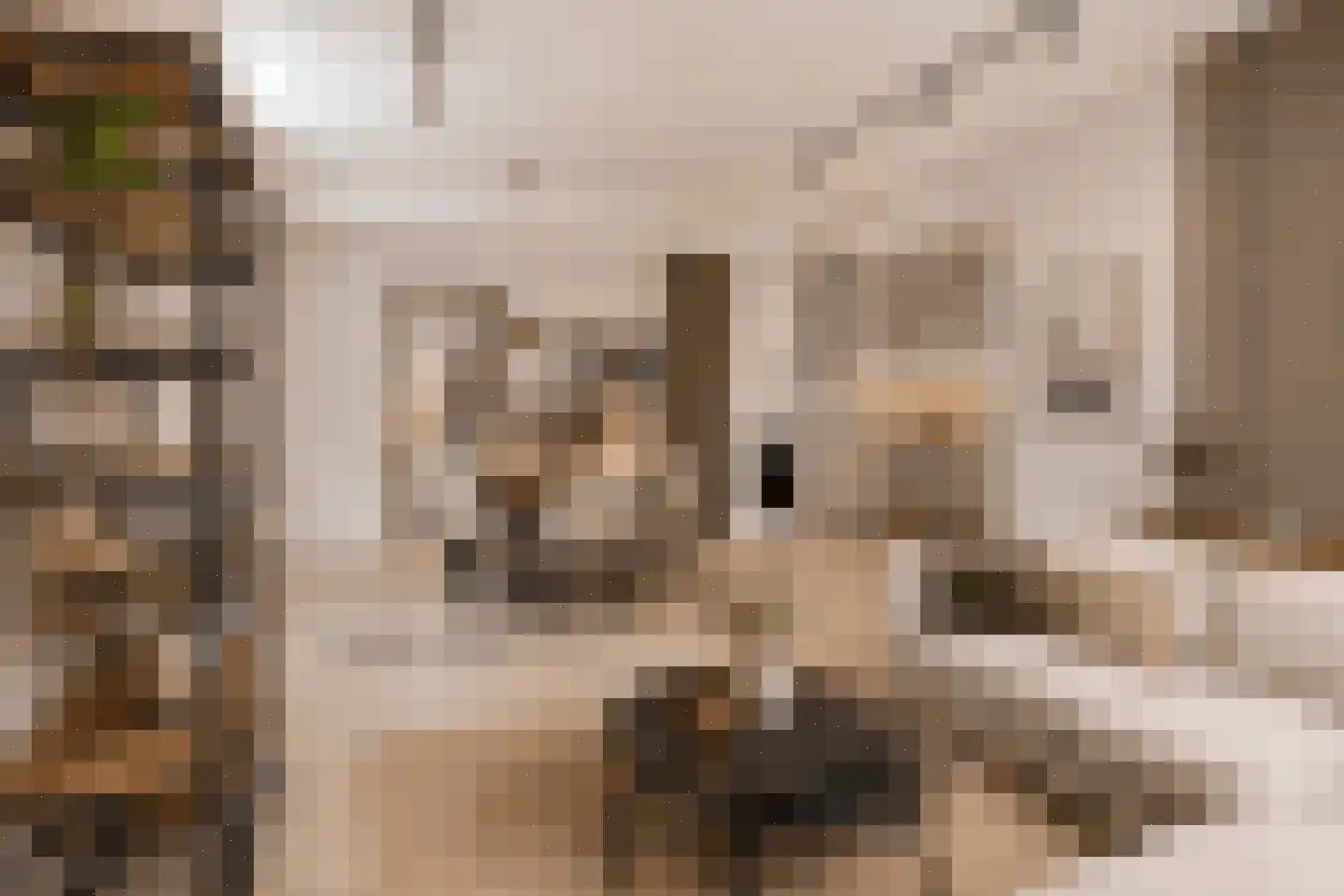Rimmelandstraat 11 Goes thumbnail 5