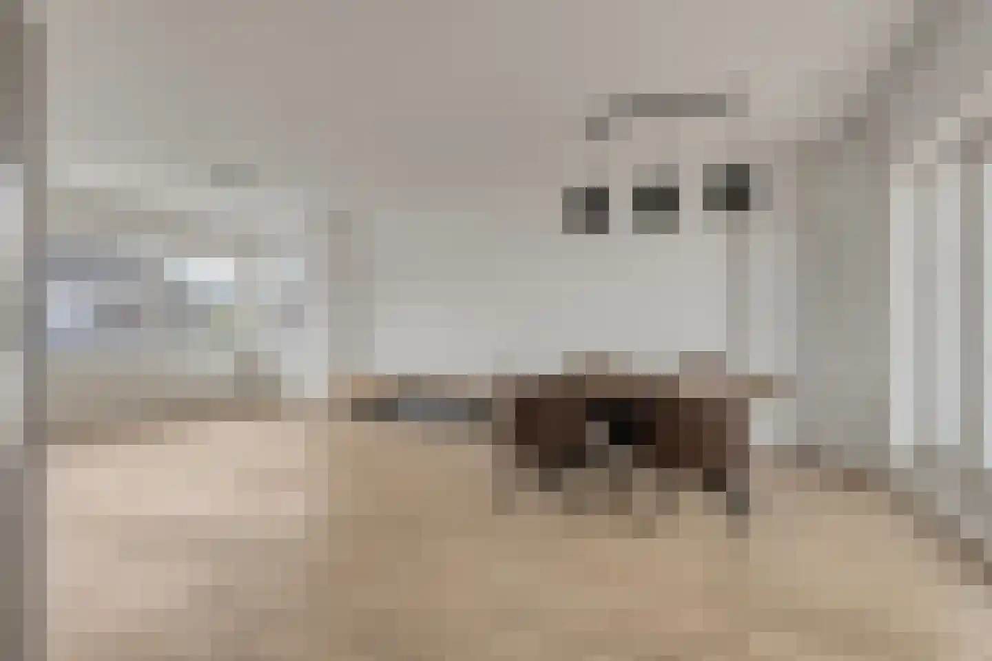 Rimmelandstraat 9 Goes thumbnail 13