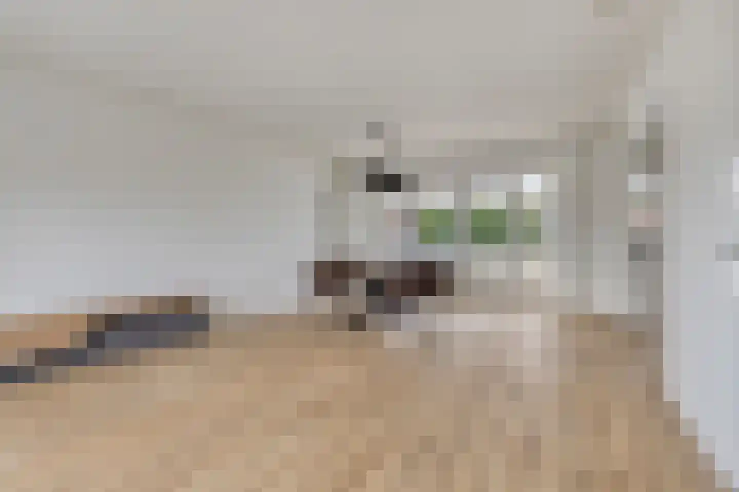 Rimmelandstraat 9 Goes thumbnail 16