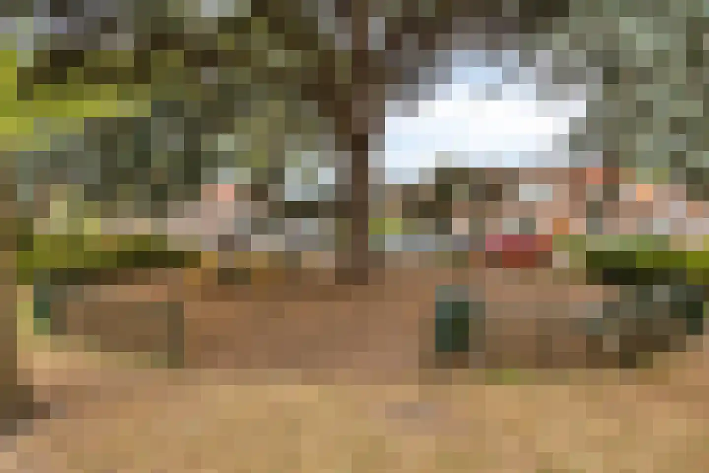 Rimmelandstraat 9 Goes thumbnail 34