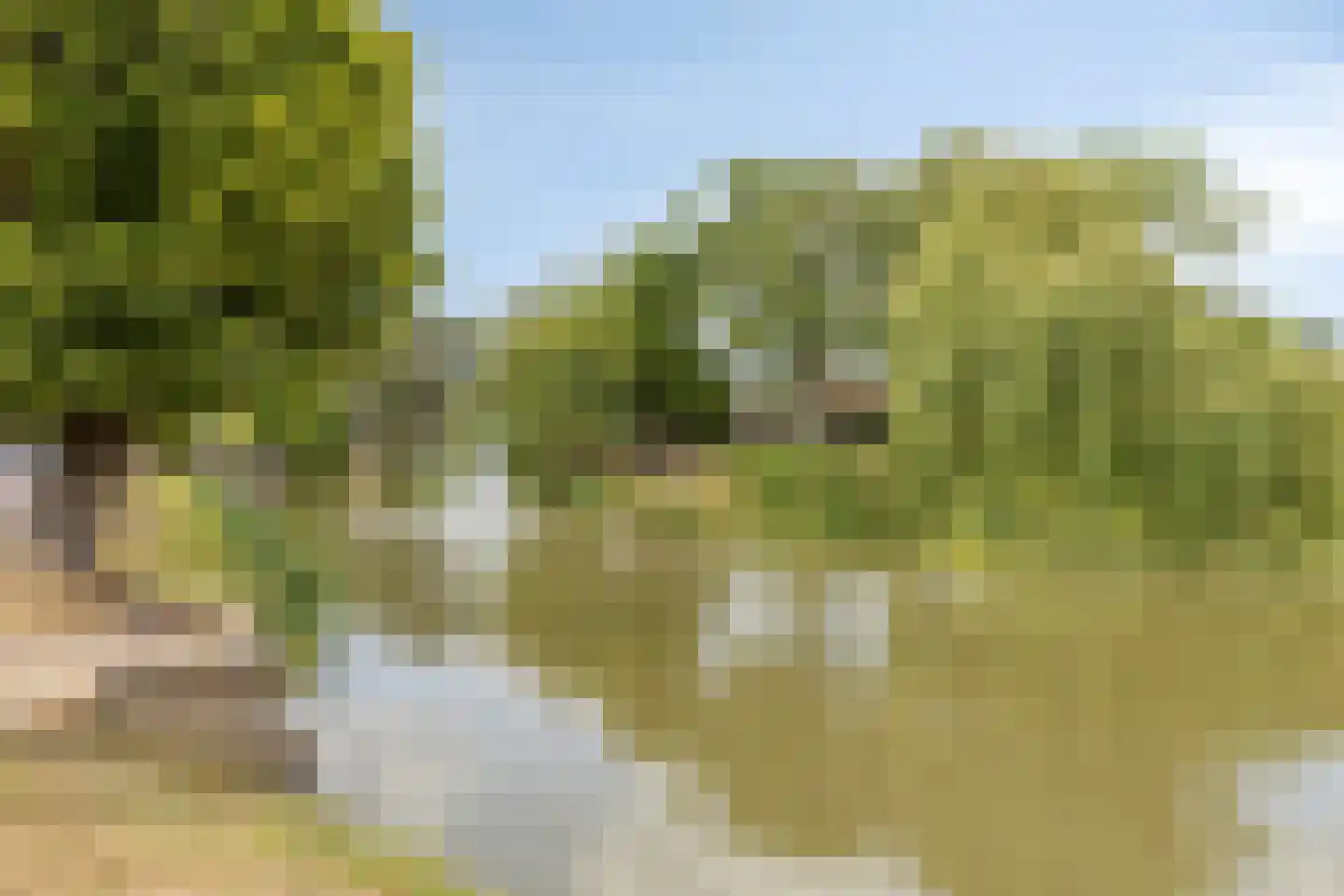 Rimmelandstraat 9 Goes thumbnail 36
