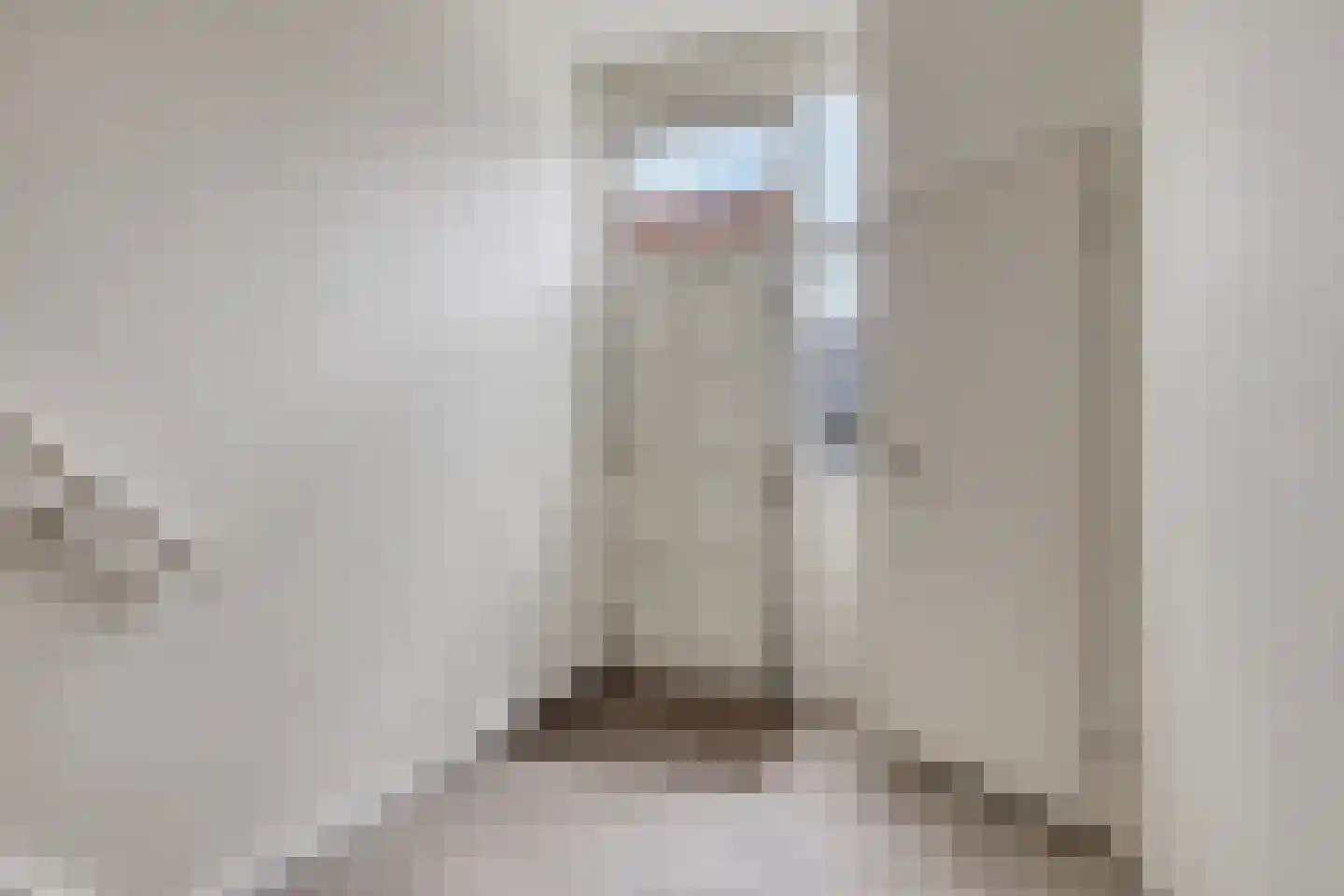 Rimmelandstraat 9 Goes thumbnail 6