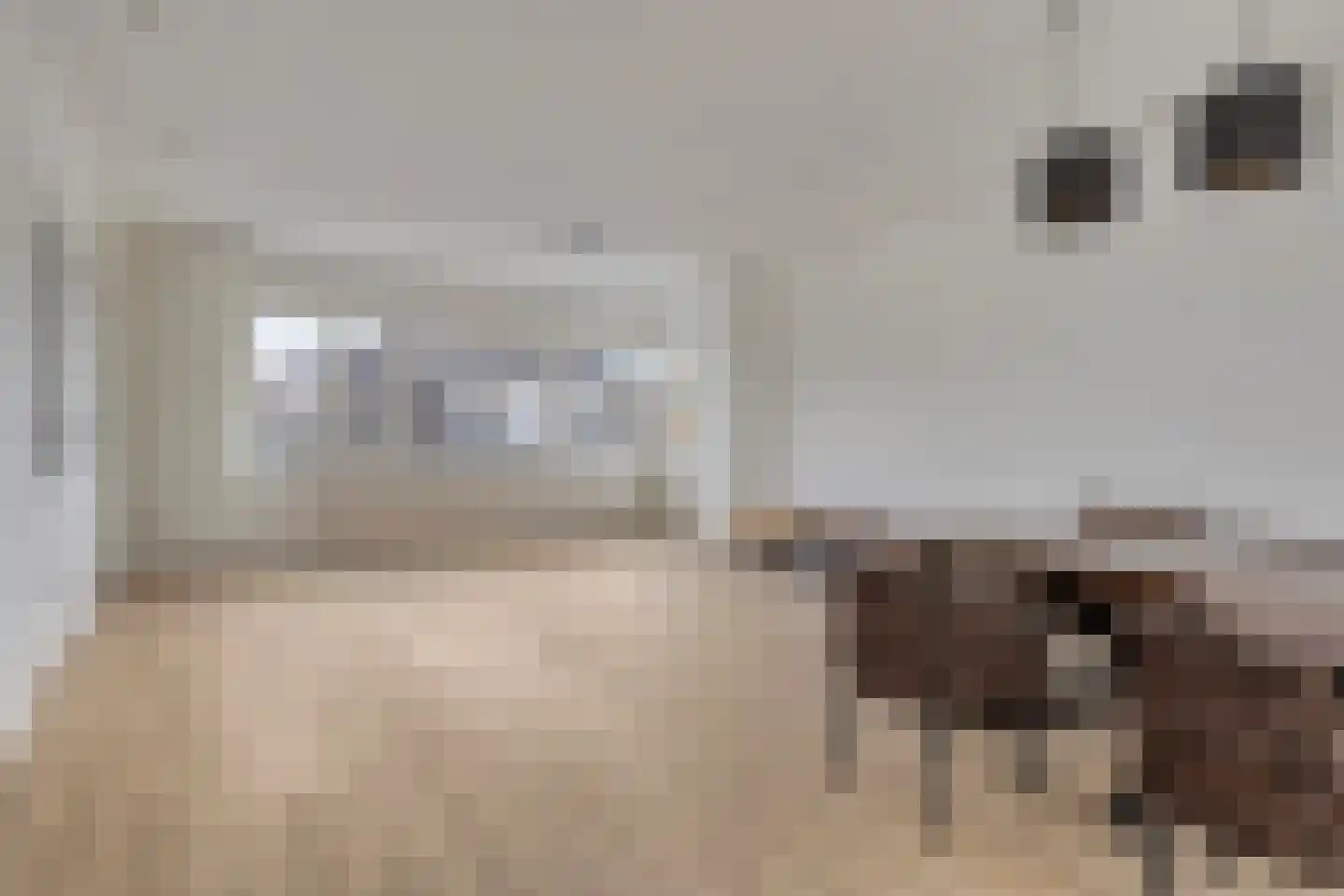 Rimmelandstraat 9 Goes thumbnail 9