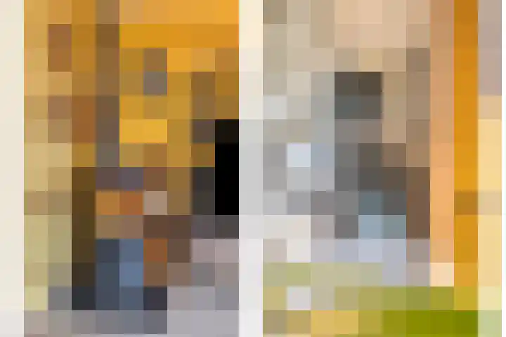 Rimonpad 4 Rotterdam thumbnail 10