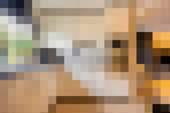 Rimonpad 4 Rotterdam thumbnail 11