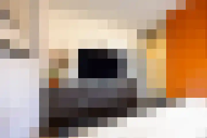 Rimonpad 4 Rotterdam thumbnail 18
