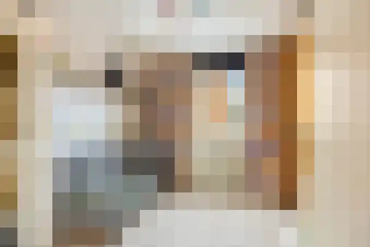 Rimonpad 4 Rotterdam thumbnail 19