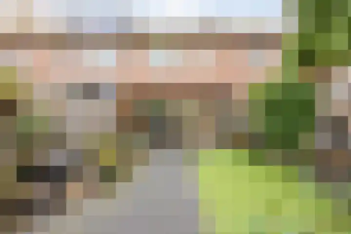 Rimonpad 4 Rotterdam thumbnail 25