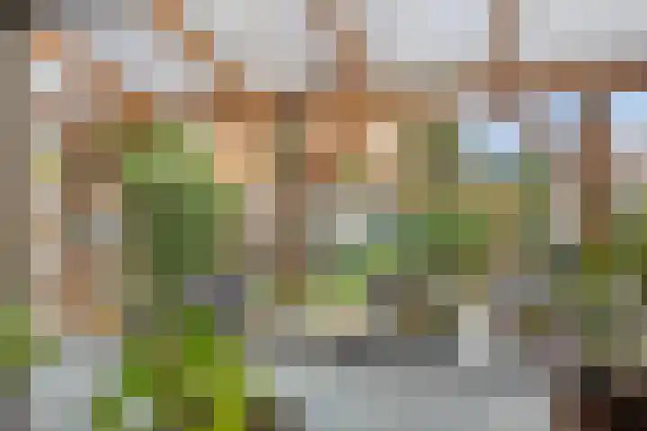 Rimonpad 4 Rotterdam thumbnail 27