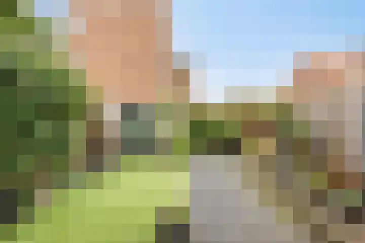 Rimonpad 4 Rotterdam thumbnail 28