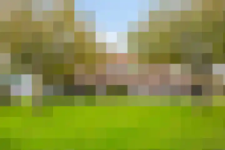 Rimonpad 4 Rotterdam thumbnail 31