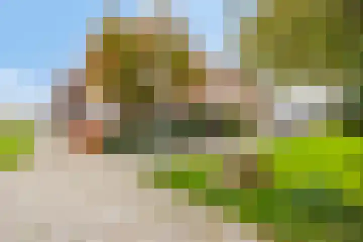 Rimonpad 4 Rotterdam thumbnail 32