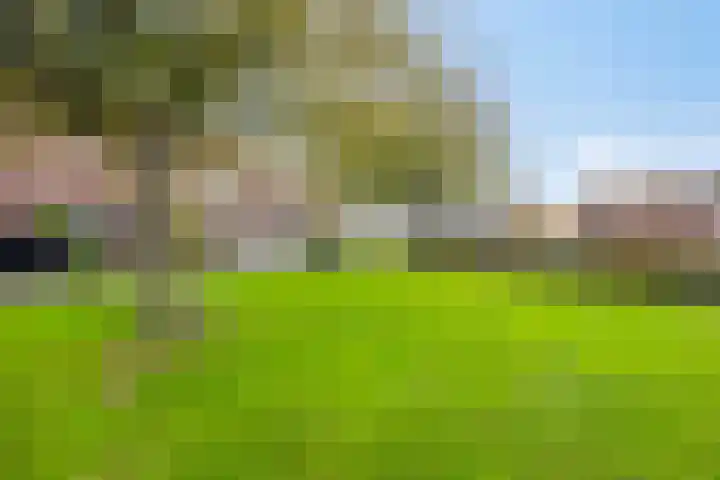 Rimonpad 4 Rotterdam thumbnail 33