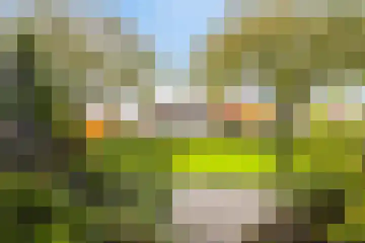 Rimonpad 4 Rotterdam thumbnail 34