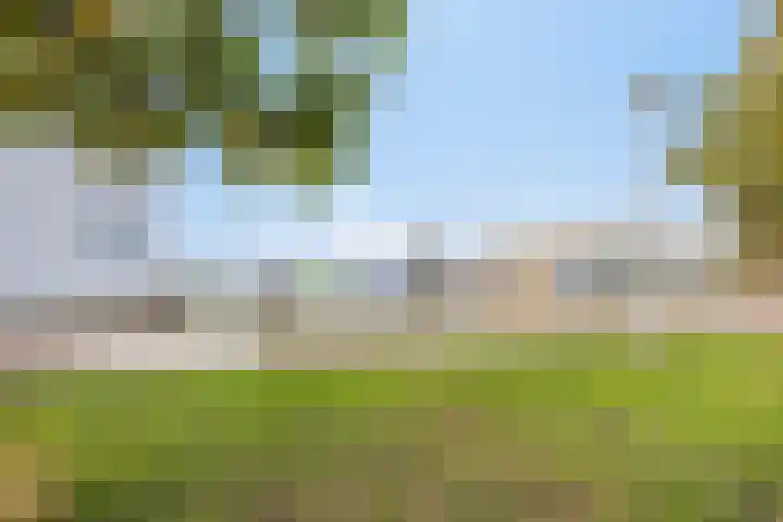 Rimonpad 4 Rotterdam thumbnail 35