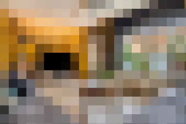 Rimonpad 4 Rotterdam thumbnail 5