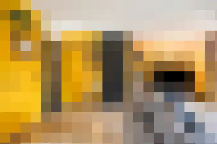 Rimonpad 4 Rotterdam thumbnail 7