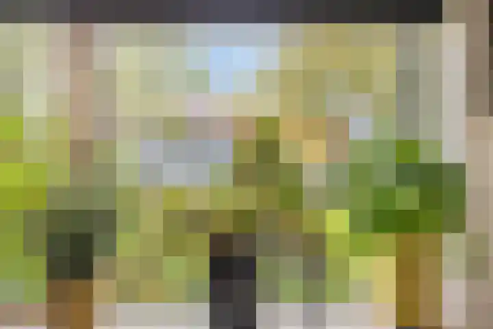 Rimonpad 4 Rotterdam thumbnail 9