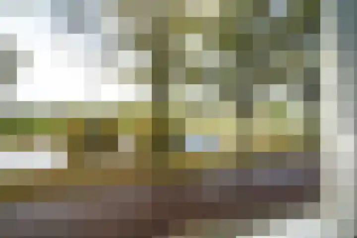 Rimpelerweg 104 Putten thumbnail 41