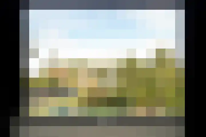 Rimpelerweg 104 Putten thumbnail 44