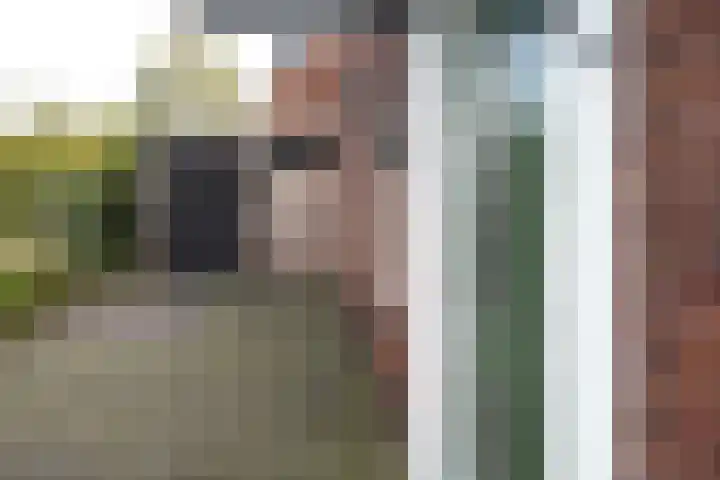 Rimpelerweg 104 Putten thumbnail 64