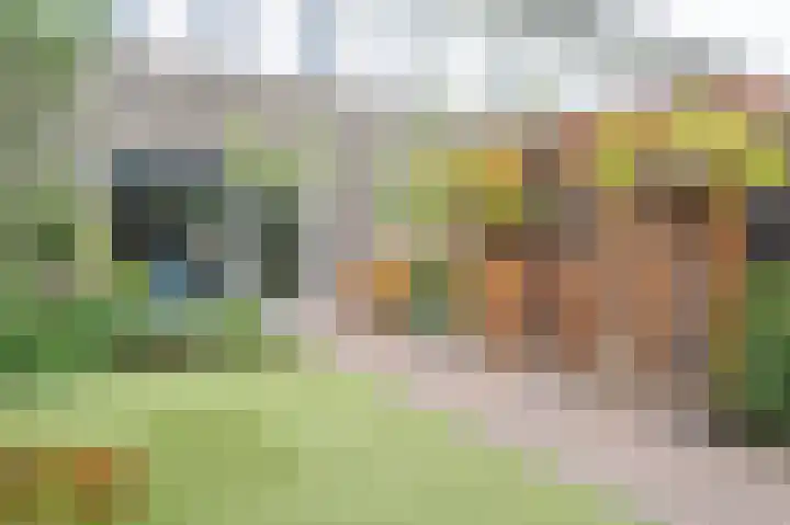 Rimpelerweg 88 Putten thumbnail 33