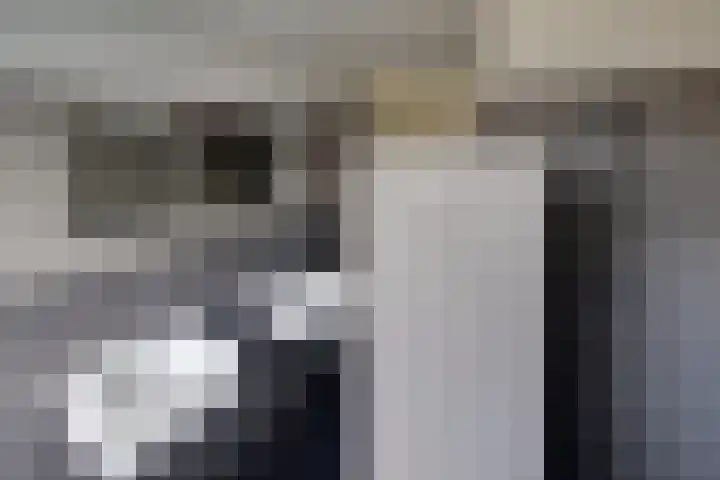 Rimpelmos 13 c Houten thumbnail 16