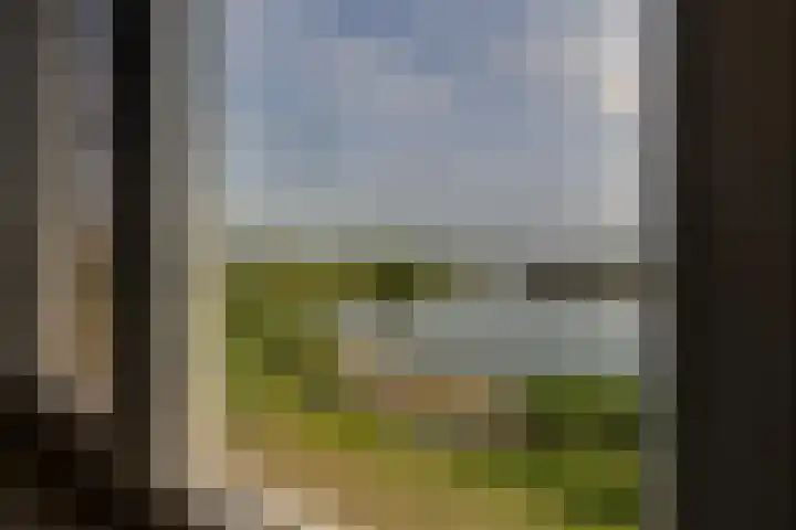 Rimpelmos 13 c Houten thumbnail 17