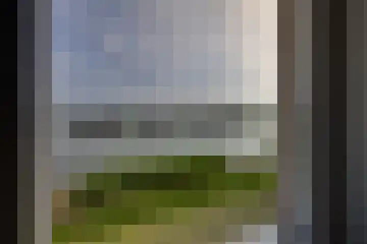 Rimpelmos 13 c Houten thumbnail 18