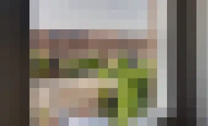 Rimpelmos 13 c Houten thumbnail 19
