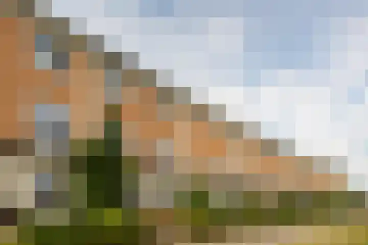 Rimpelmos 13 c Houten thumbnail 20