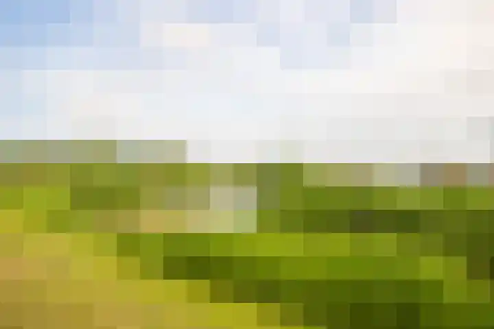 Rimpelmos 13 c Houten thumbnail 21