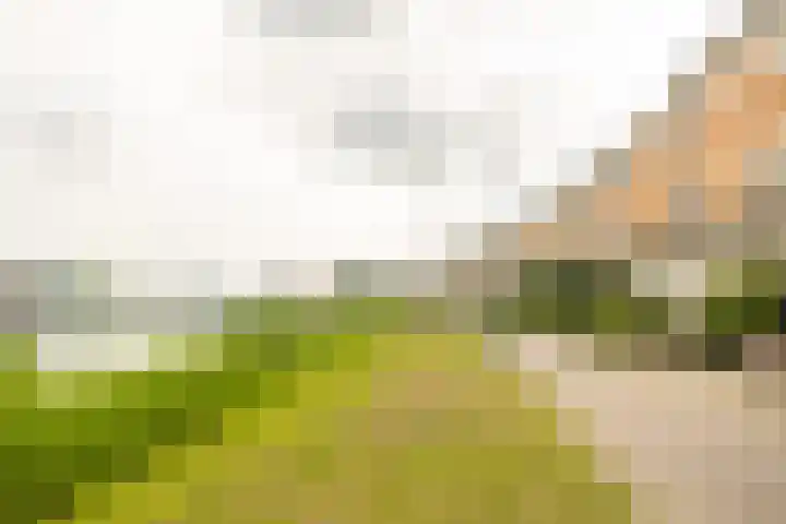 Rimpelmos 13 c Houten thumbnail 22