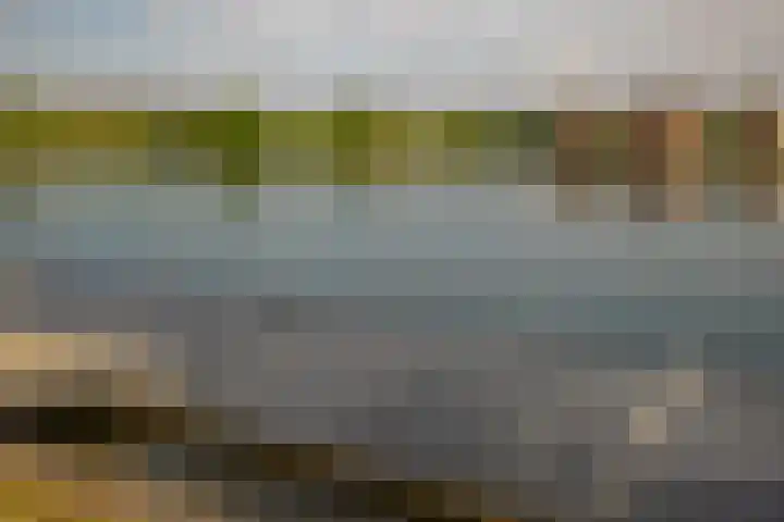 Rimpelmos 13 c Houten thumbnail 24