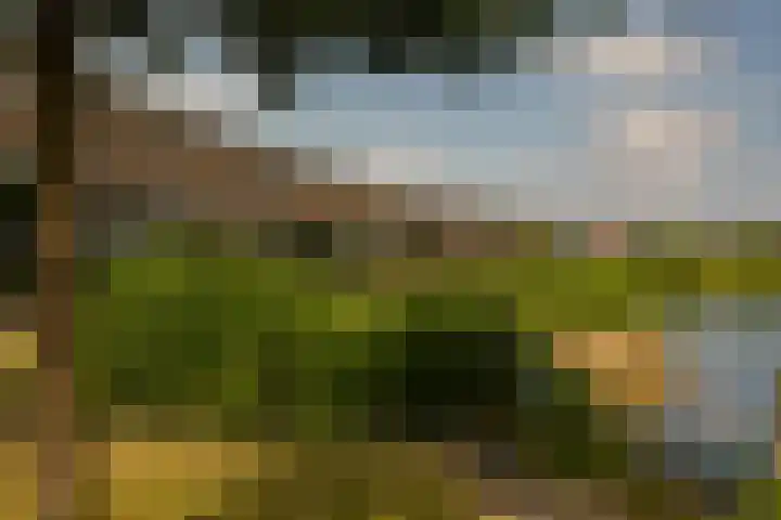Rimpelmos 13 c Houten thumbnail 25