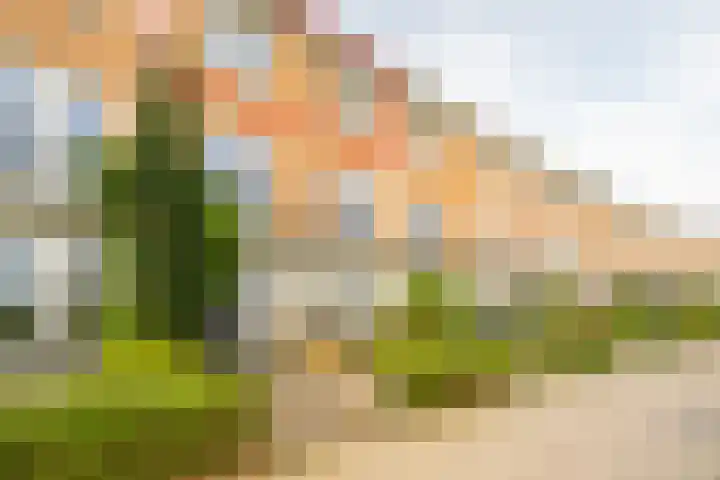 Rimpelmos 13 c Houten thumbnail 29