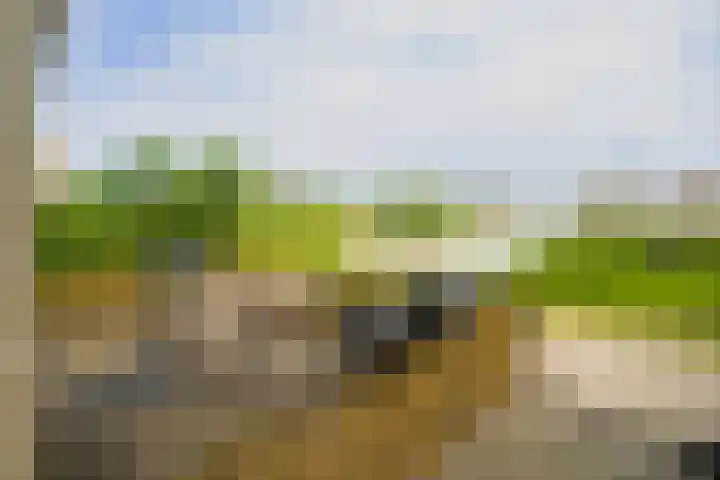 Rimpelmos 13 c Houten thumbnail 4