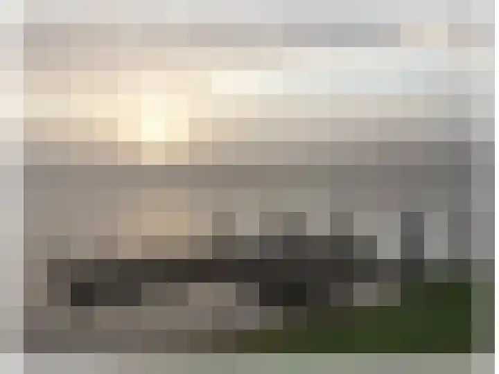 Rimpelmos 16 Houten thumbnail 17