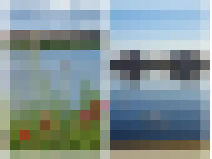 Rimpelmos 16 Houten thumbnail 4