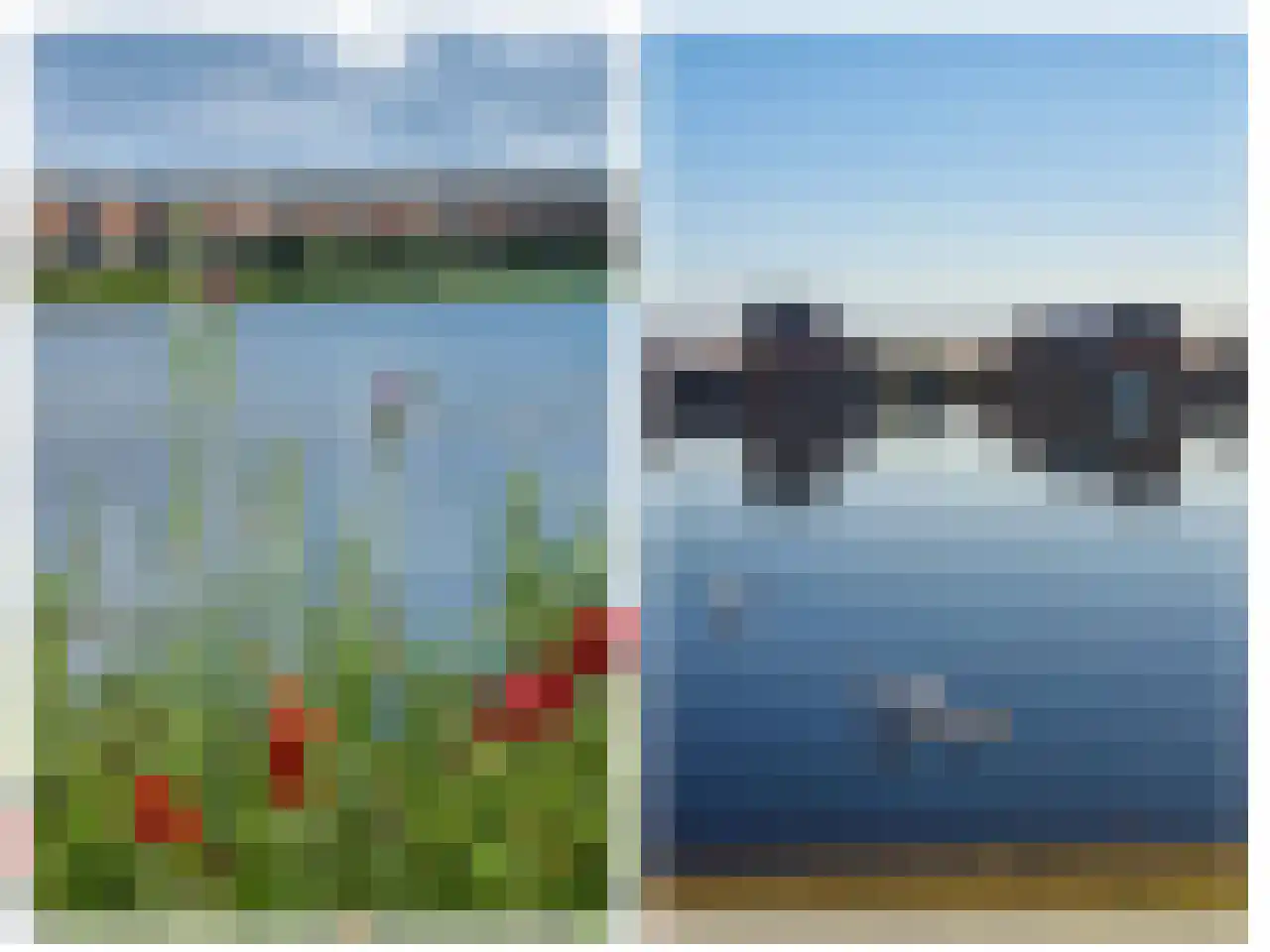 Rimpelmos 16 Houten thumbnail 4
